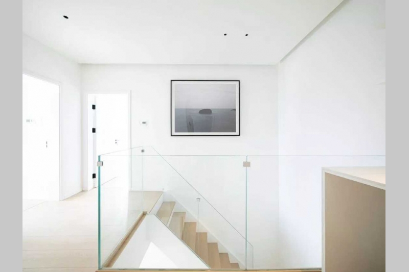 Chrysanthemum Garden