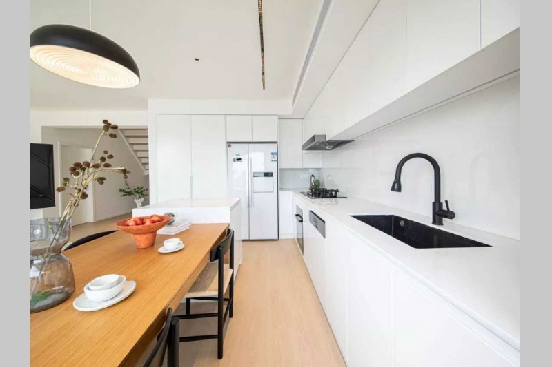 Chrysanthemum Garden