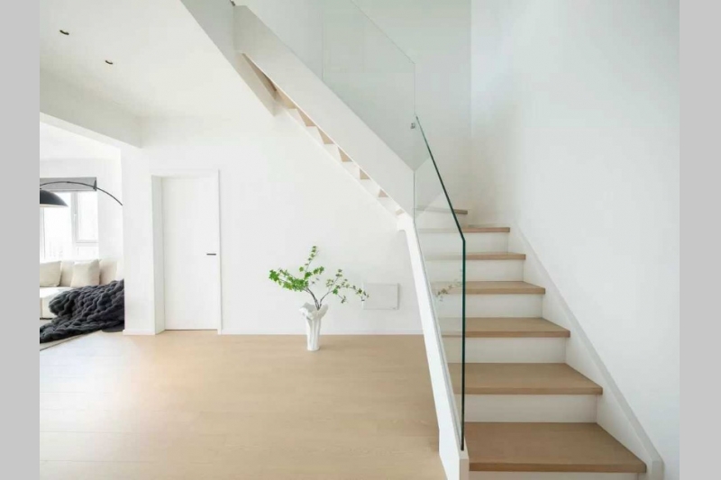 Chrysanthemum Garden