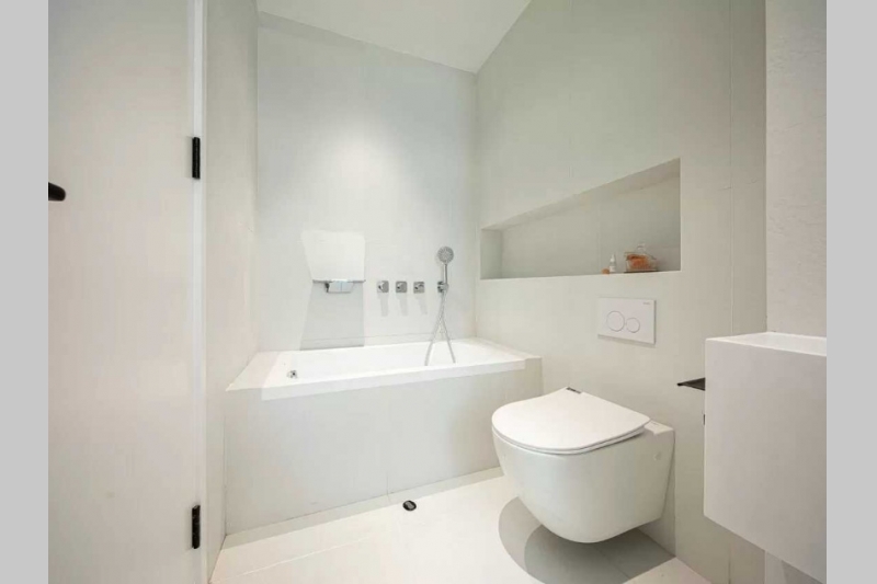 Chrysanthemum Garden